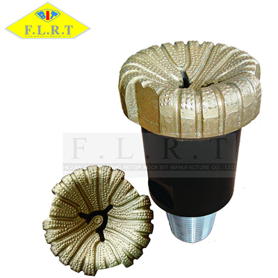Harga yang bagus Natural Diamond Bit / 6 1/4 